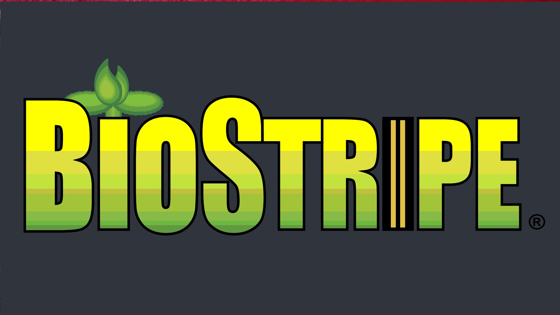 BioStripe® Soy-based Waterborne Alkyd Traffic & Zone Marking Paint